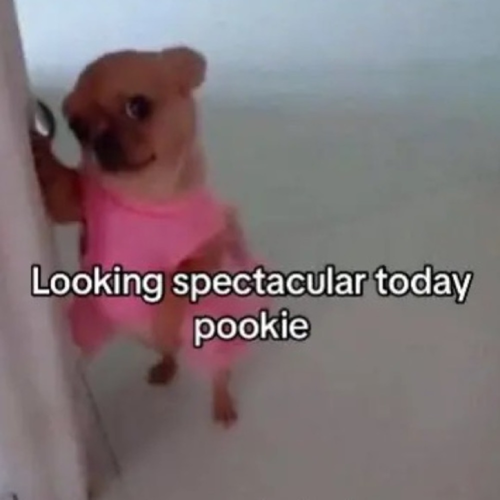 Meet your Posher, Xxbigchungusxx